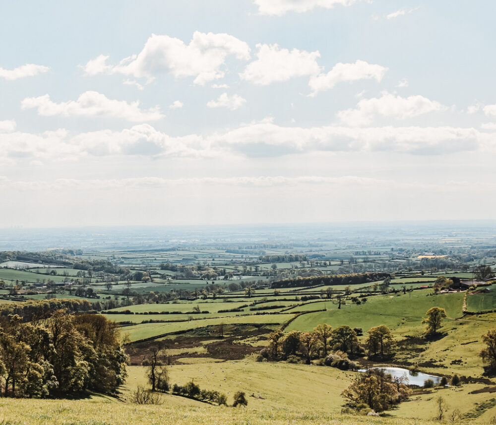 Halifax Estates landscape